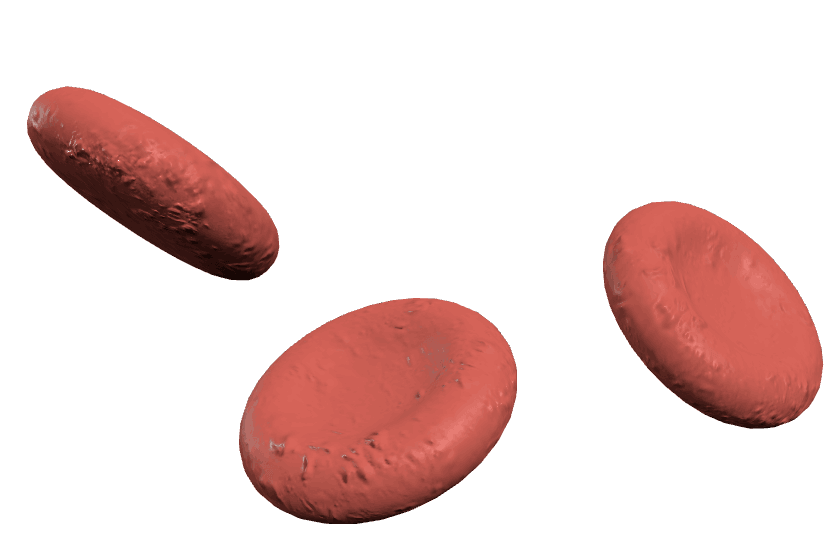 A cluster of red blood cells, each a rounded disc dimpled in the centre, turning slowly.